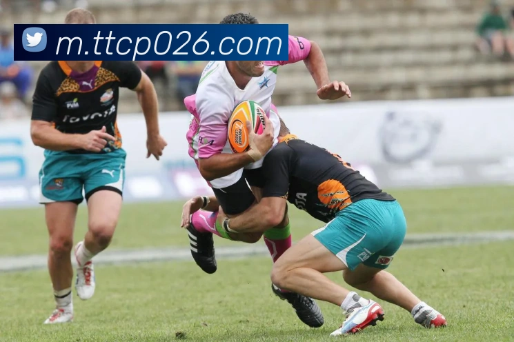 天天彩票官方网站全站App